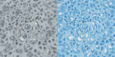 Closed vs open cell comparison